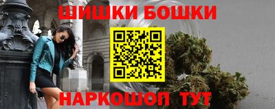 тгк Кингисепп