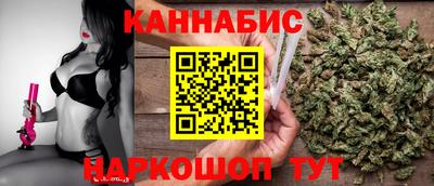 тгк Кингисепп