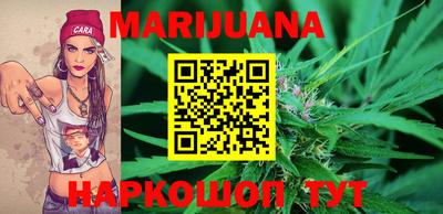 тгк Кингисепп