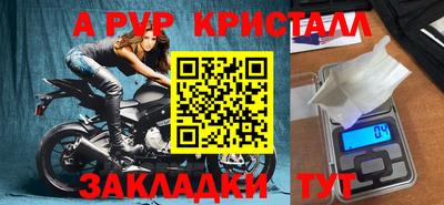 тгк Кингисепп