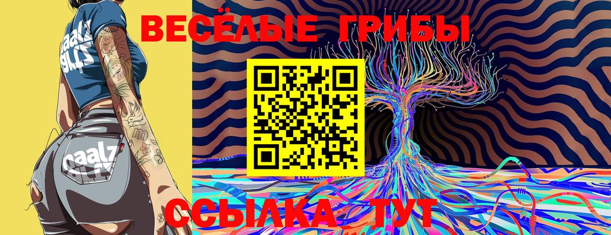 Галлюциногенные грибы Psilocybe Южно-Сахалинск