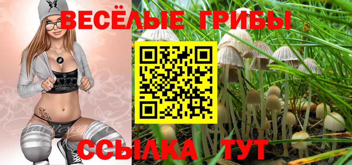 Псилоцибиновые грибы прущие грибы  Вход с VPN  Южно-Сахалинск  Псилоцибиновые грибы MAGIC MUSHROOMS 